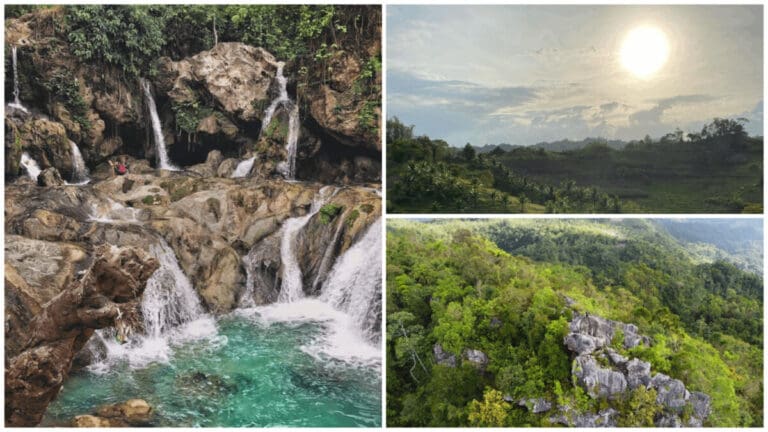 Why Is Catmon Called “Catmon?”