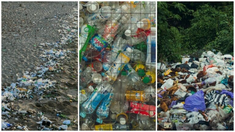 Should A Customer Clean as They Go? Cebu City CLAYGO Ordinance Says YES!