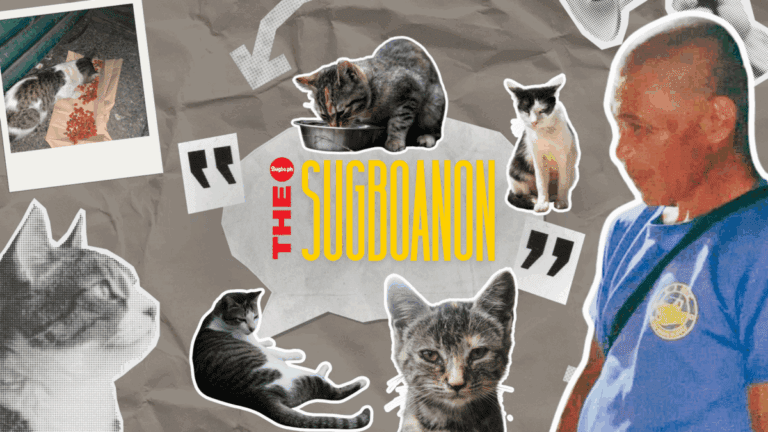 Beyond the Demolished Rubble: Cebu’s Stray Cats Find Hope in Tatay