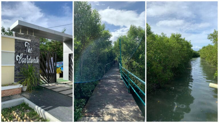 Beauty at the End of a Rough Path at Alcantara’s Boardwalk