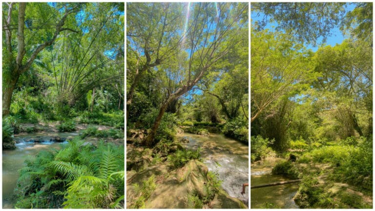 The Humble Flow of Banghitawan Falls