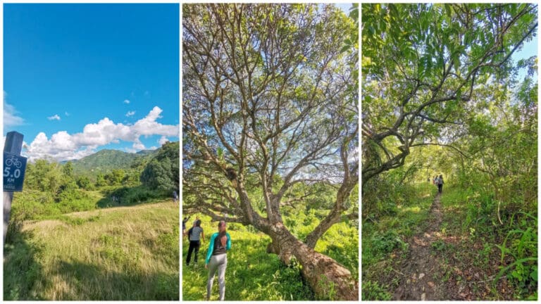 Where Adventure Meets Nature in Balamban