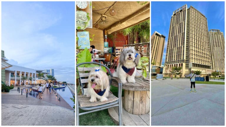 Public Spaces for Dogs Around Cebu City