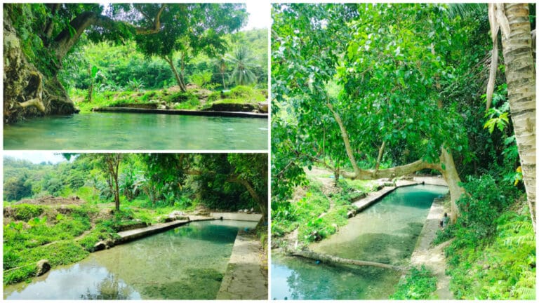 A Cold Spring Arcadia Of Tabuelan