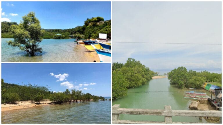 Barili’s Best-Kept Secret