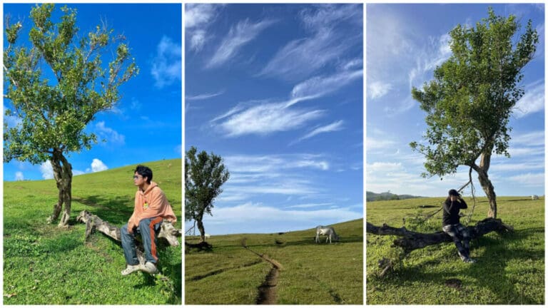 Escape to Macarena Hills in Alegria