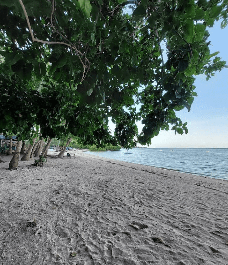 This image has an empty alt attribute; its file name is Screenshot-2025-09-29-110652.png