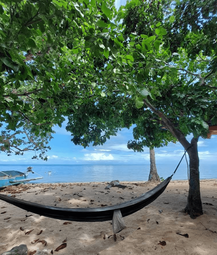 This image has an empty alt attribute; its file name is Screenshot-2025-09-29-110740.png