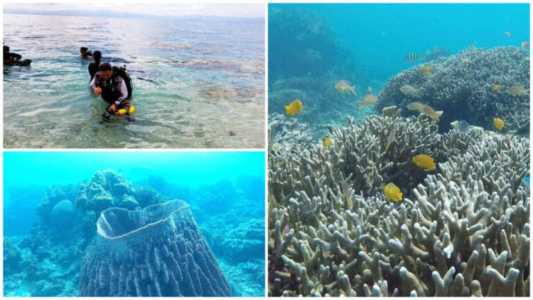 Swim Here Before Everyone Finds Out About It