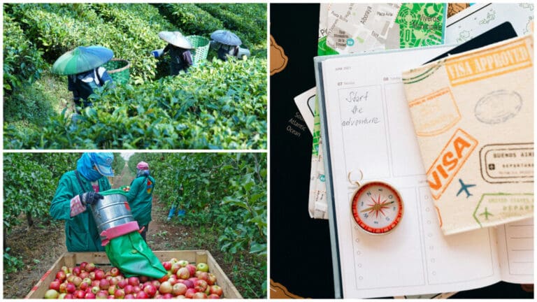 PH and Korea Formalize Legal Path for Seasonal Workers