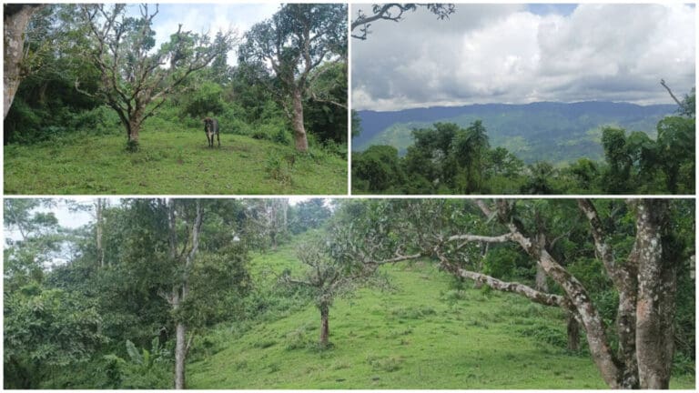 Sunrise to Sunset on Babag