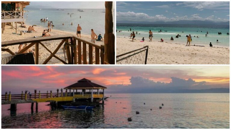  Panagsama Beach, Moalboal Cebu 2026: Sardine Run, Sea Turtles, and Sunset Diving Spot