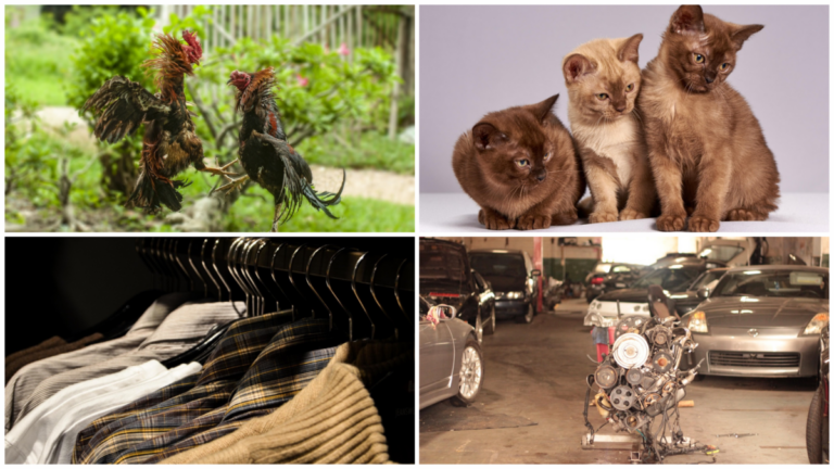 5 Father’s Day Gift Guide for Filipino Fathers