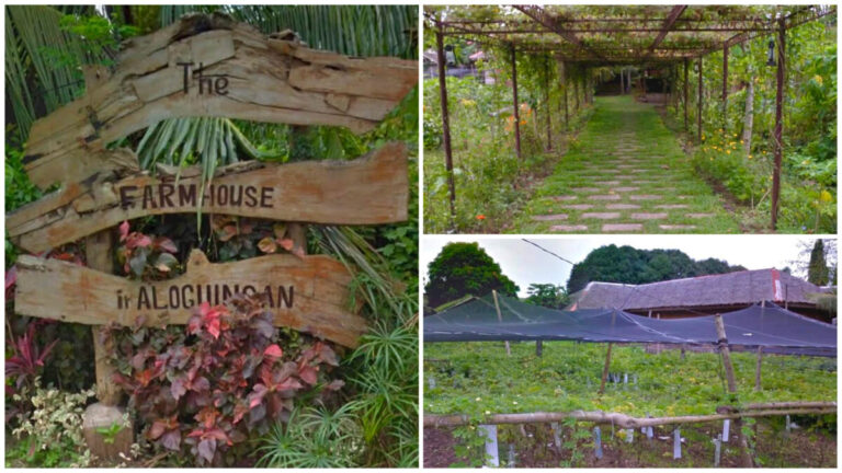 The Farmhouse in Aloguinsan Offers a Taste of Cebu’s Countryside
